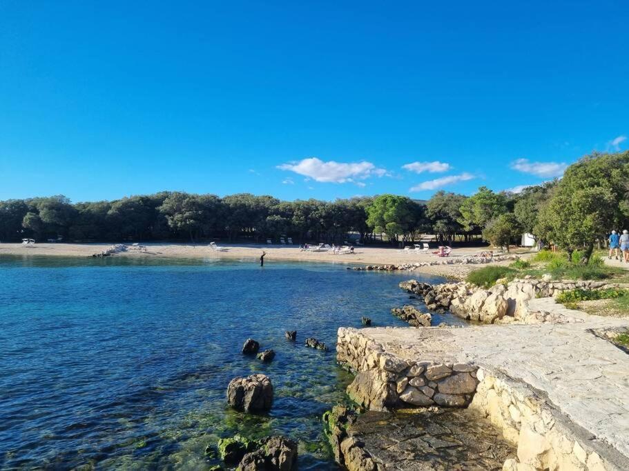Sunny Sky Punta Skala, See View, 75 M To The Beach Petrcane Εξωτερικό φωτογραφία