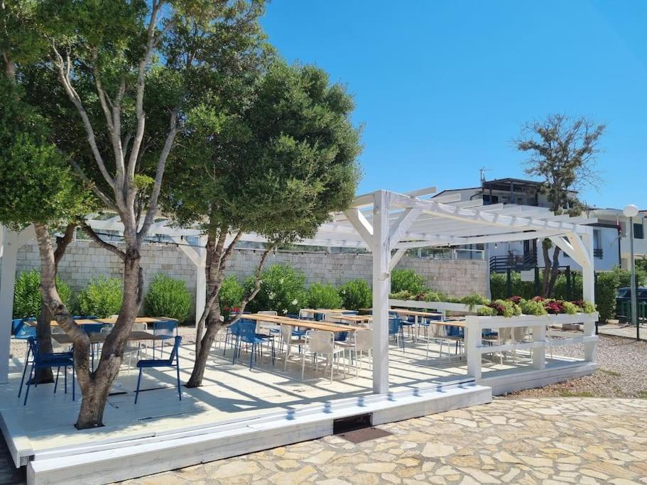 Sunny Sky Punta Skala, See View, 75 M To The Beach Petrcane Εξωτερικό φωτογραφία