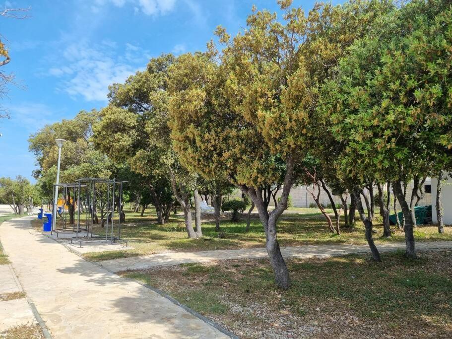 Sunny Sky Punta Skala, See View, 75 M To The Beach Petrcane Εξωτερικό φωτογραφία