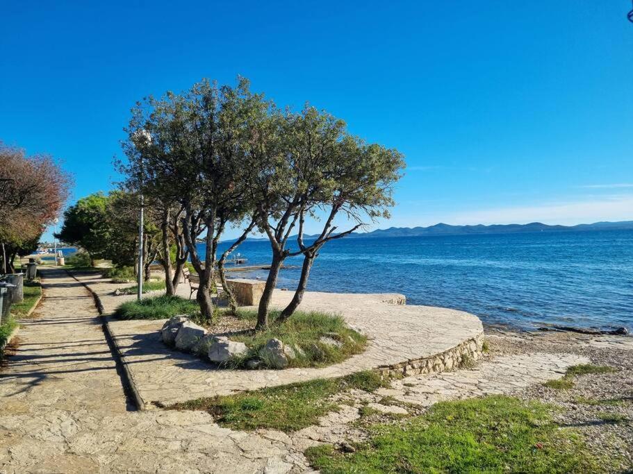 Sunny Sky Punta Skala, See View, 75 M To The Beach Petrcane Εξωτερικό φωτογραφία